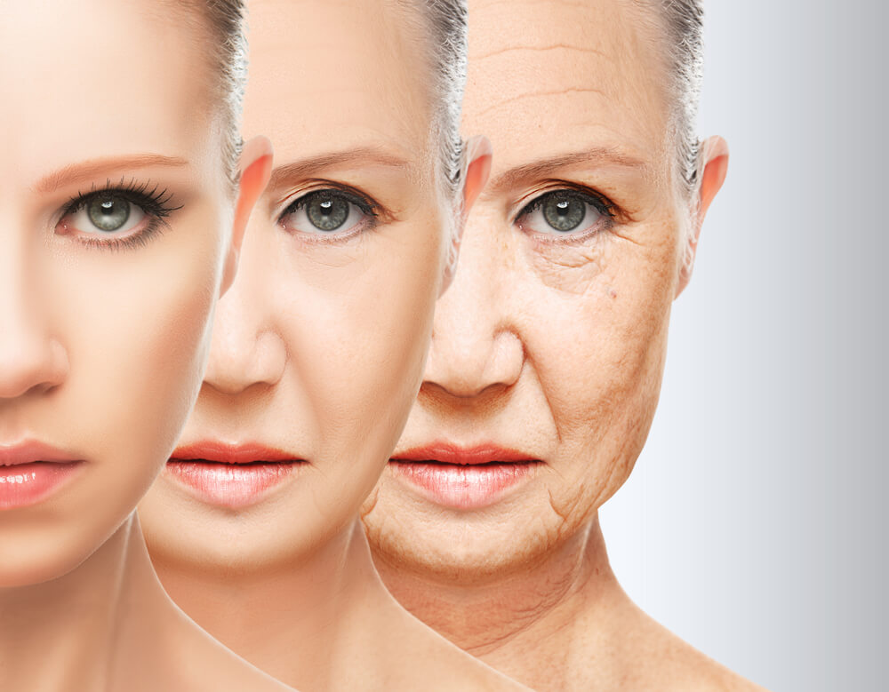 Aging Process Face Of Woman Aging Process Face Of Woman